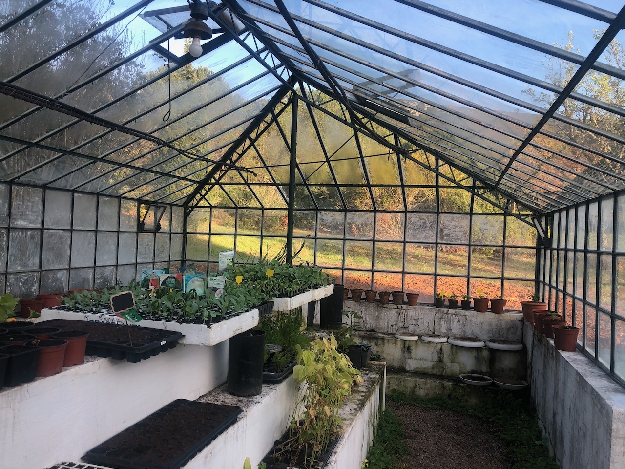 The Greenhouse